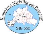 Logo SFB 555